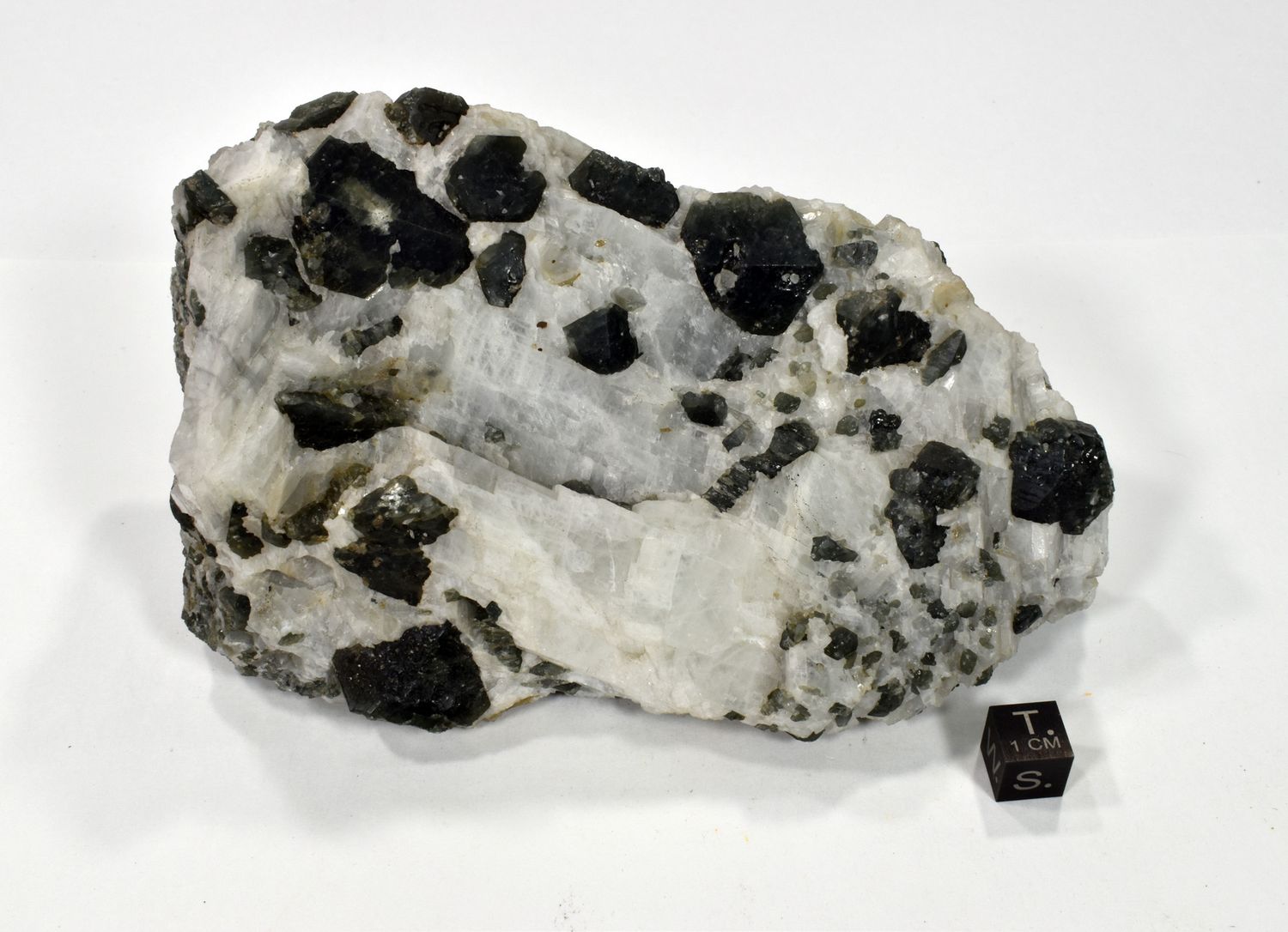 Pargasite.jpg