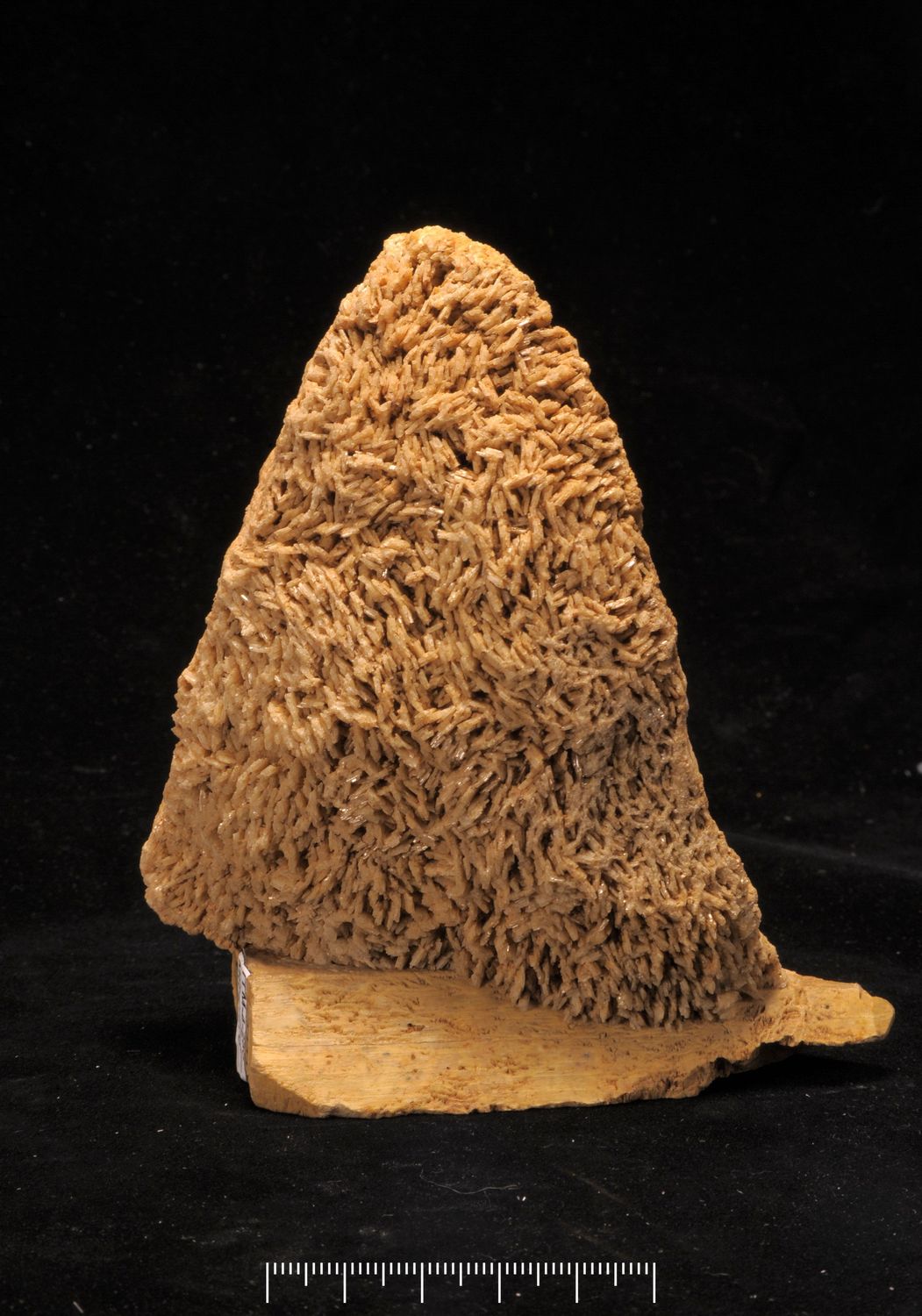 Albite1.jpg