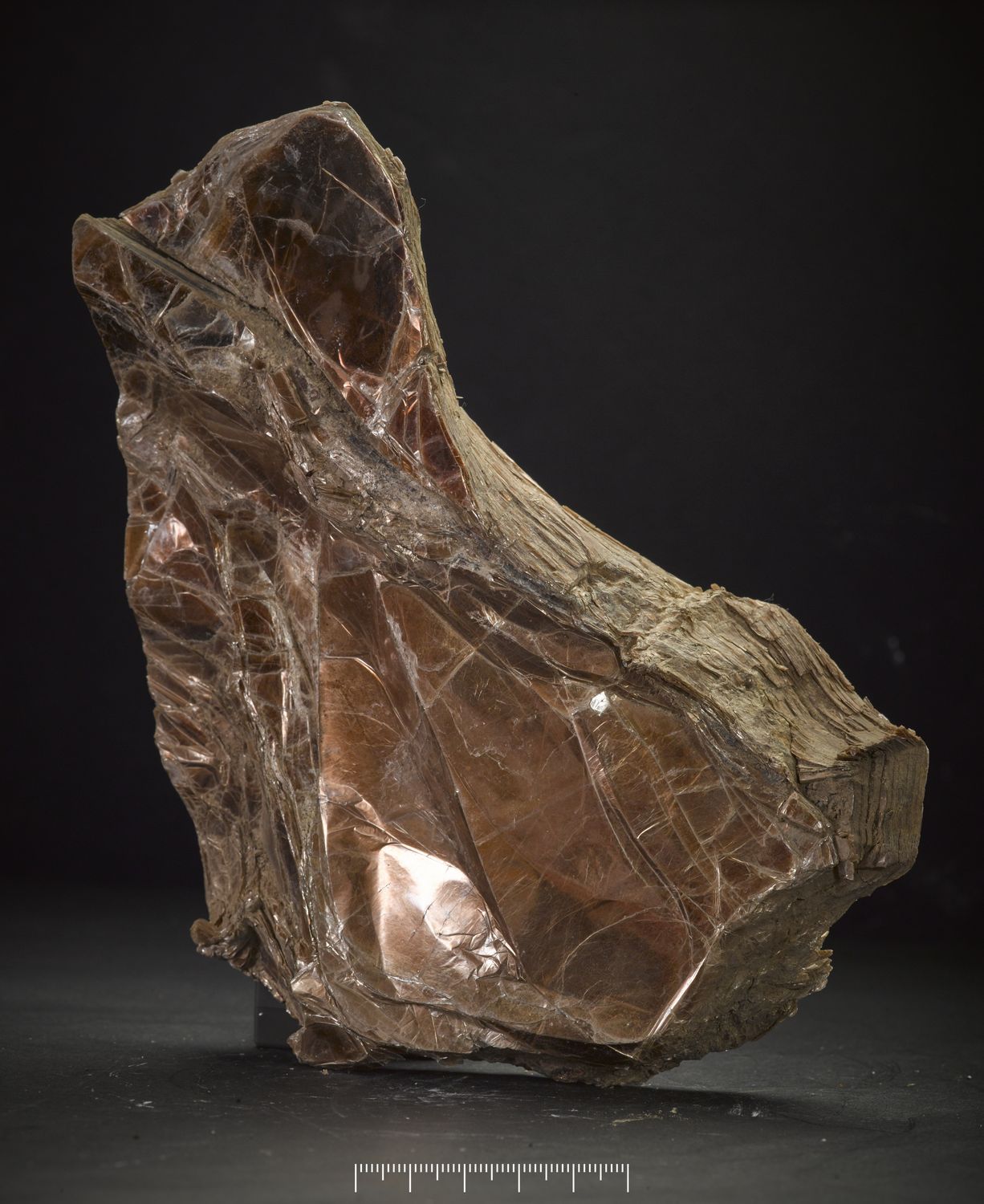 Phlogopite.jpg